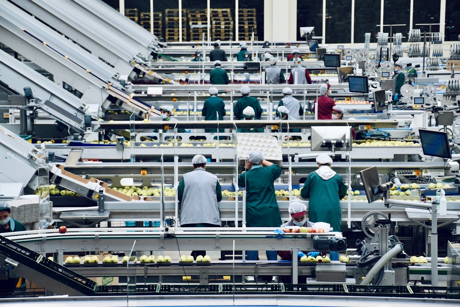 Adapting to Automation: A Guide for Workers